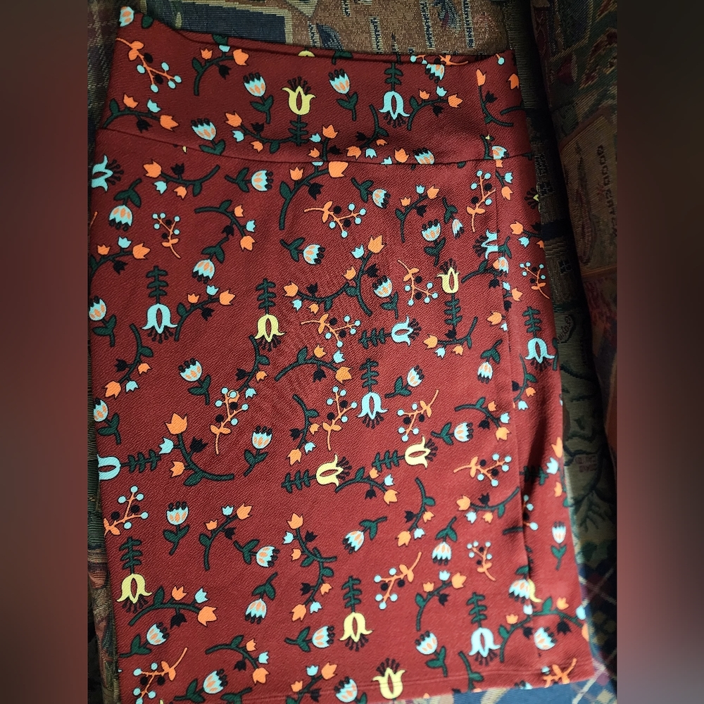 Lula Roe skirt